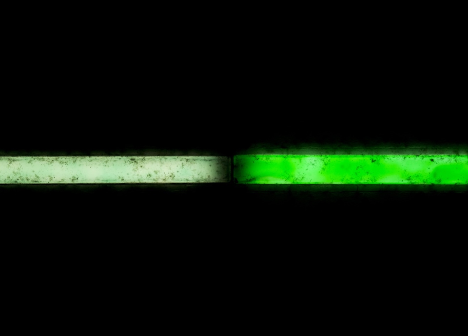 Dan Flavin - Picture 10