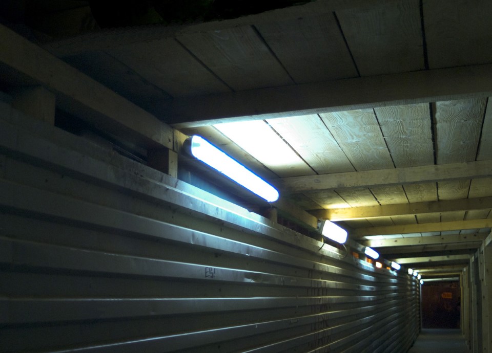 Dan Flavin - Picture 13