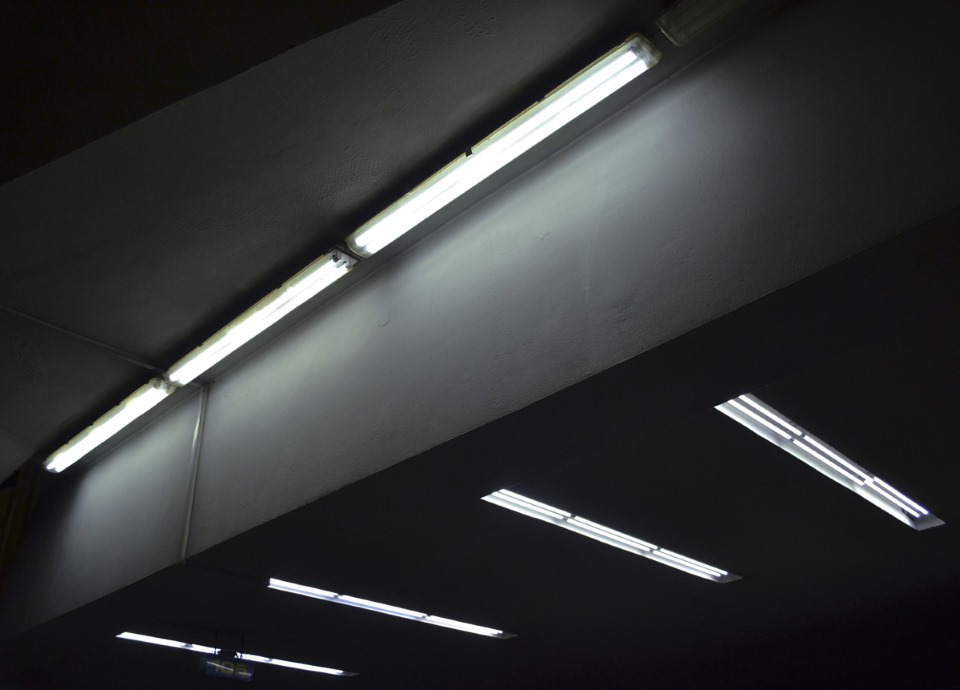 Dan Flavin - Picture 3