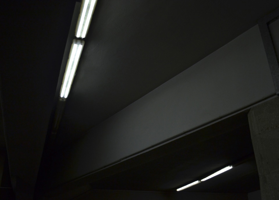 Dan Flavin - Picture 4