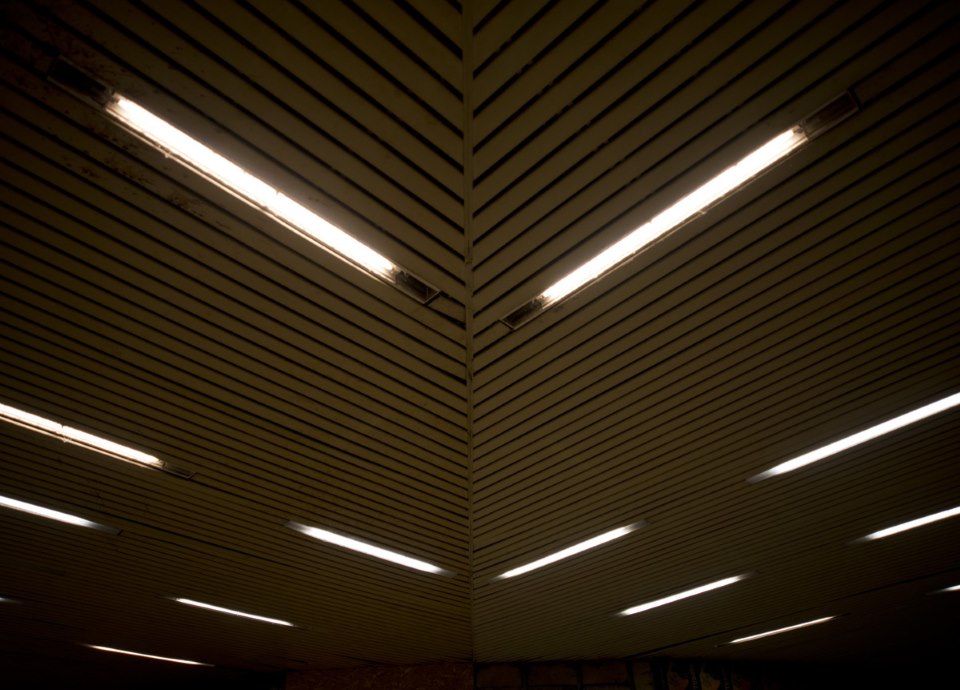 Dan Flavin - Picture 5