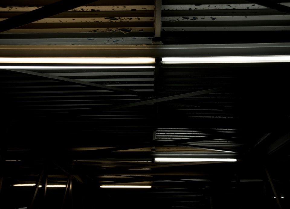 Dan Flavin - Picture 6